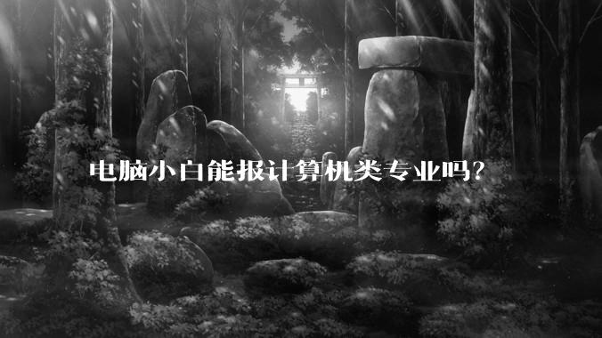 电脑小白能报计算机类专业吗？