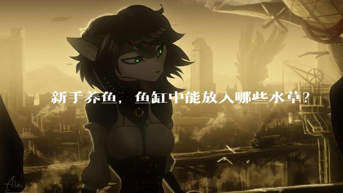 新手养鱼，鱼缸中能放入哪些水草？