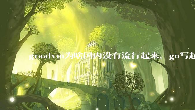 graalvm为啥国内没有流行起来，go写起来实在太恶心了，难道任凭go独霸云原生？