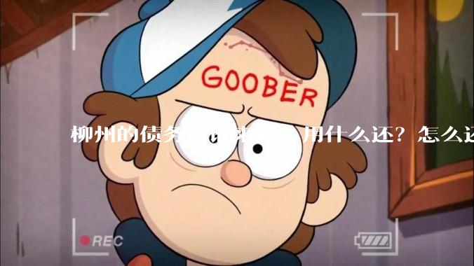 柳州的债务，谁来还？用什么还？怎么还？