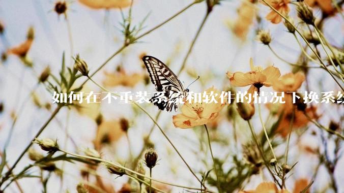 如何在不重装系统和软件的情况下换系统盘？
