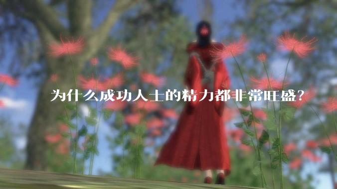 为什么成功人士的精力都非常旺盛？