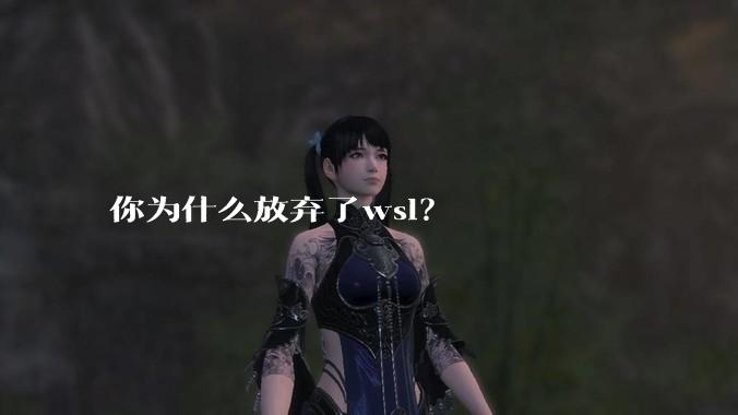 你为什么放弃了wsl？