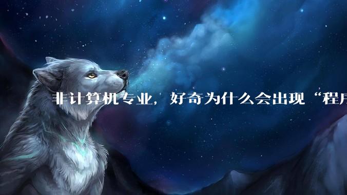 非计算机专业，好奇为什么会出现“程序依赖bug运行”的情况？