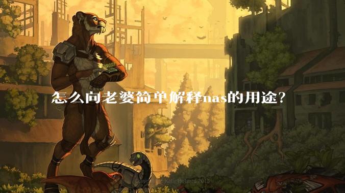 怎么向老婆简单解释nas的用途？