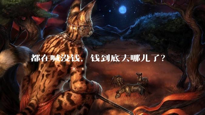 都在喊没钱，钱到底去哪儿了？