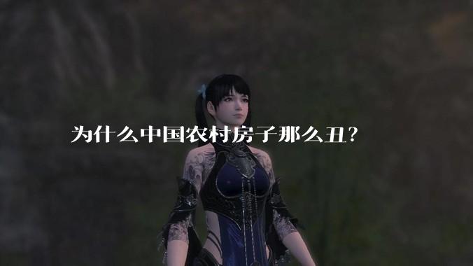 为什么中国农村房子那么丑？