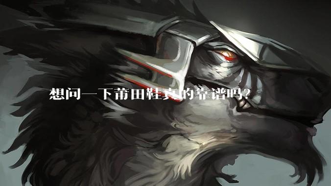 想问一下莆田鞋真的靠谱吗？