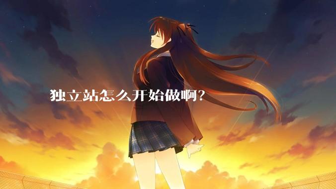 独立站怎么开始做啊？