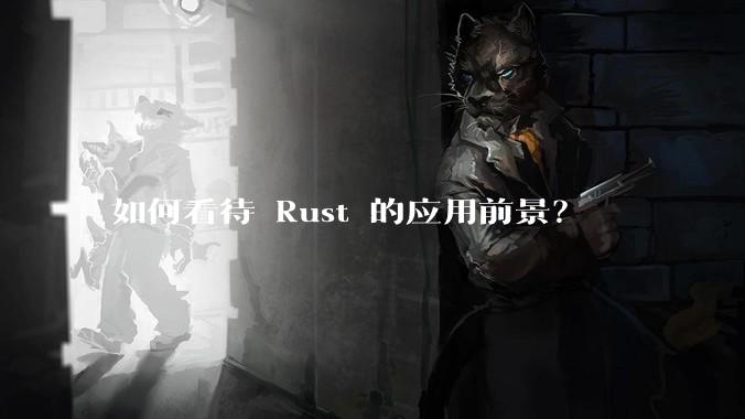如何看待 Rust 的应用前景？