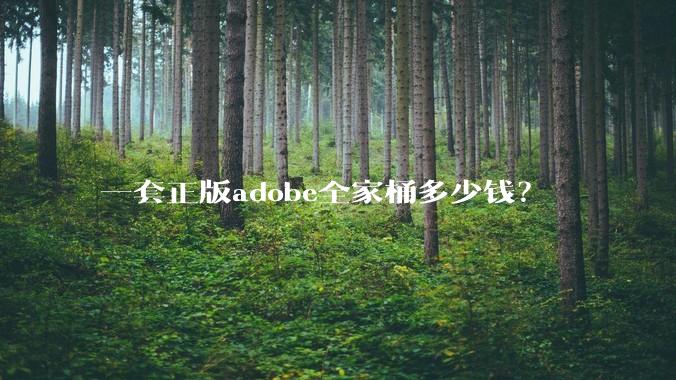 一套正版adobe全家桶多少钱？