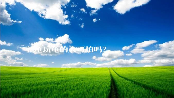 养龟玩龟的人可怕吗？