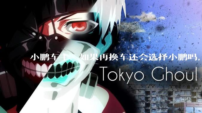 小鹏车主，如果再换车还会选择小鹏吗，欢迎大家理性讨论，给正在观望准备买车的一点中肯的建议？
