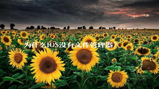 为什么iOS没有文件管理器？