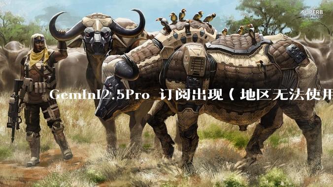 Gemini2.5Pro 订阅出现（地区无法使用）的解决办法?