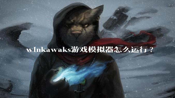 winkawaks游戏模拟器怎么运行?
