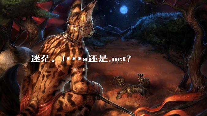 迷茫。J***a还是.net？