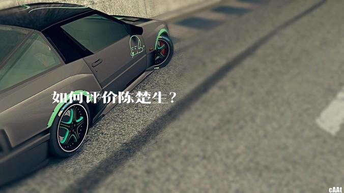 如何评价陈楚生？
