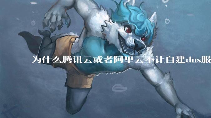 为什么腾讯云或者阿里云不让自建dns服务器?