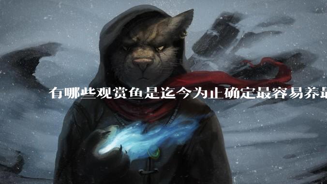 有哪些观赏鱼是迄今为止确定最容易养最不容易死的？