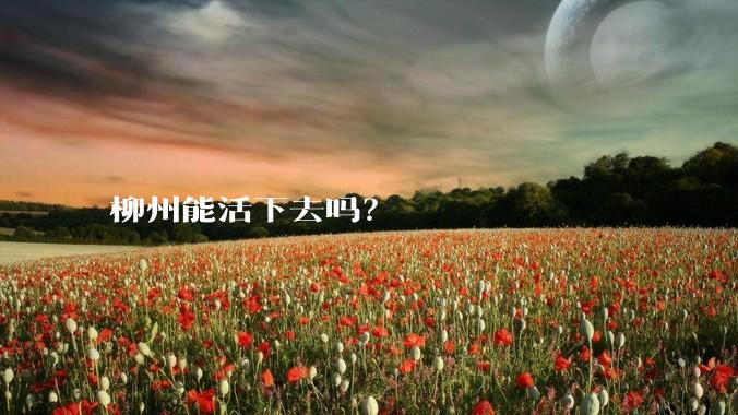 柳州能活下去吗？