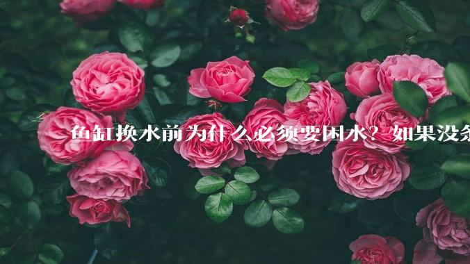 鱼缸换水前为什么必须要困水？如果没条件困水怎么办？