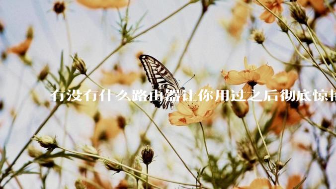 有没有什么路由器让你用过之后彻底惊艳了？