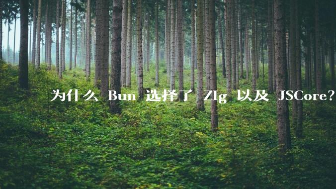 为什么 Bun 选择了 Zig 以及 JSCore？