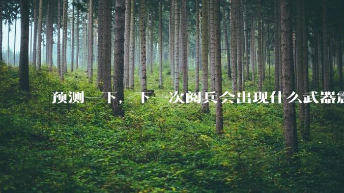 预测一下，下一次阅兵会出现什么武器震惊世界？