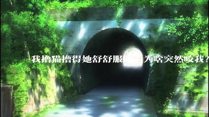 我撸猫撸得她舒舒服服的为啥突然咬我？