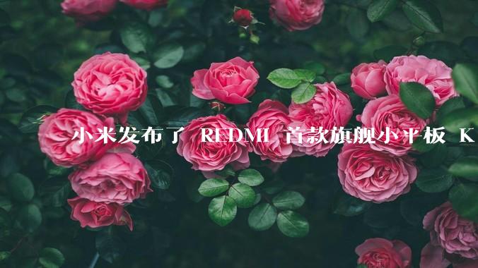 小米发布了 REDMI 首款旗舰小平板 K Pad，仅 8.8 英寸，小巧便携，如何评价这一设计？