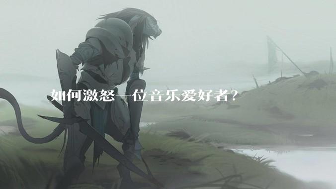 如何激怒一位音乐爱好者？
