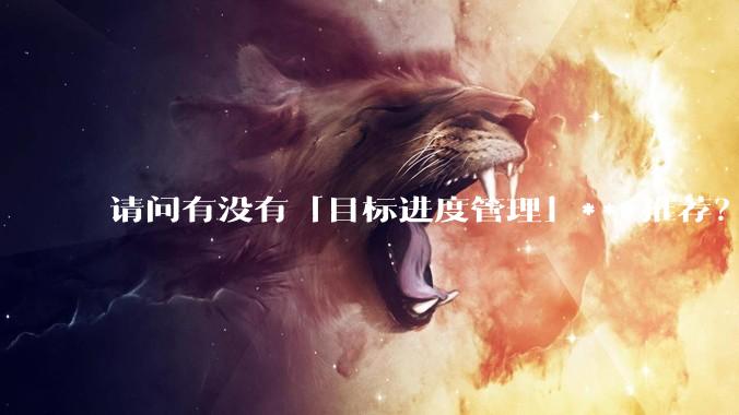请问有没有「目标进度管理」***推荐？