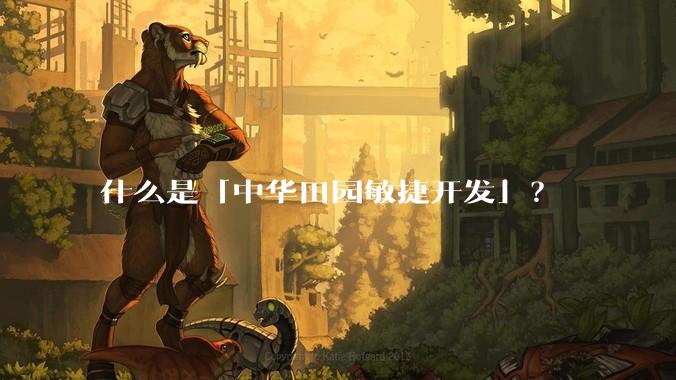 什么是「中华田园敏捷开发」？