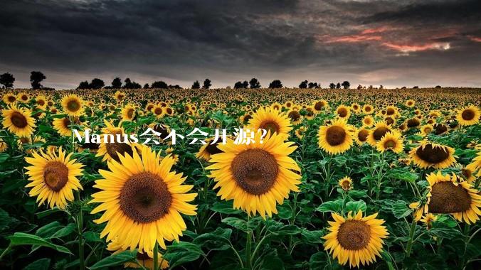 Manus会不会开源？