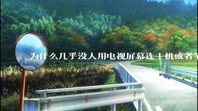 为什么几乎没人用电视屏幕连主机或者笔记本当显示器？
