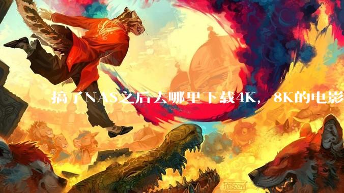 搞了NAS之后去哪里下载4K，8K的电影？