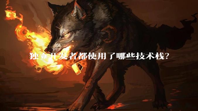 独立开发者都使用了哪些技术栈？