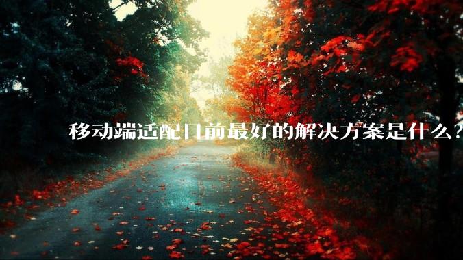 移动端适配目前最好的解决方案是什么？