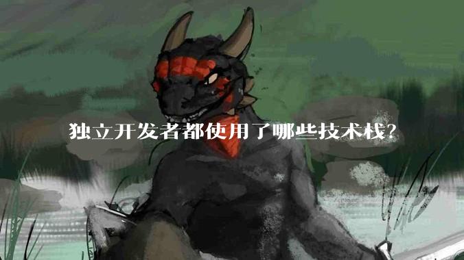独立开发者都使用了哪些技术栈？