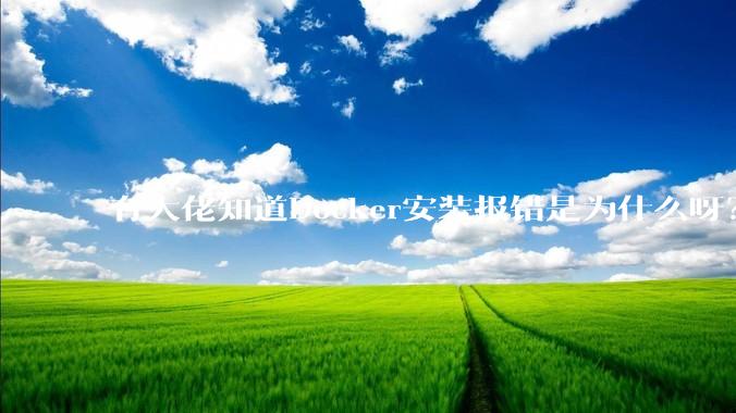 有大佬知道Docker安装报错是为什么呀？